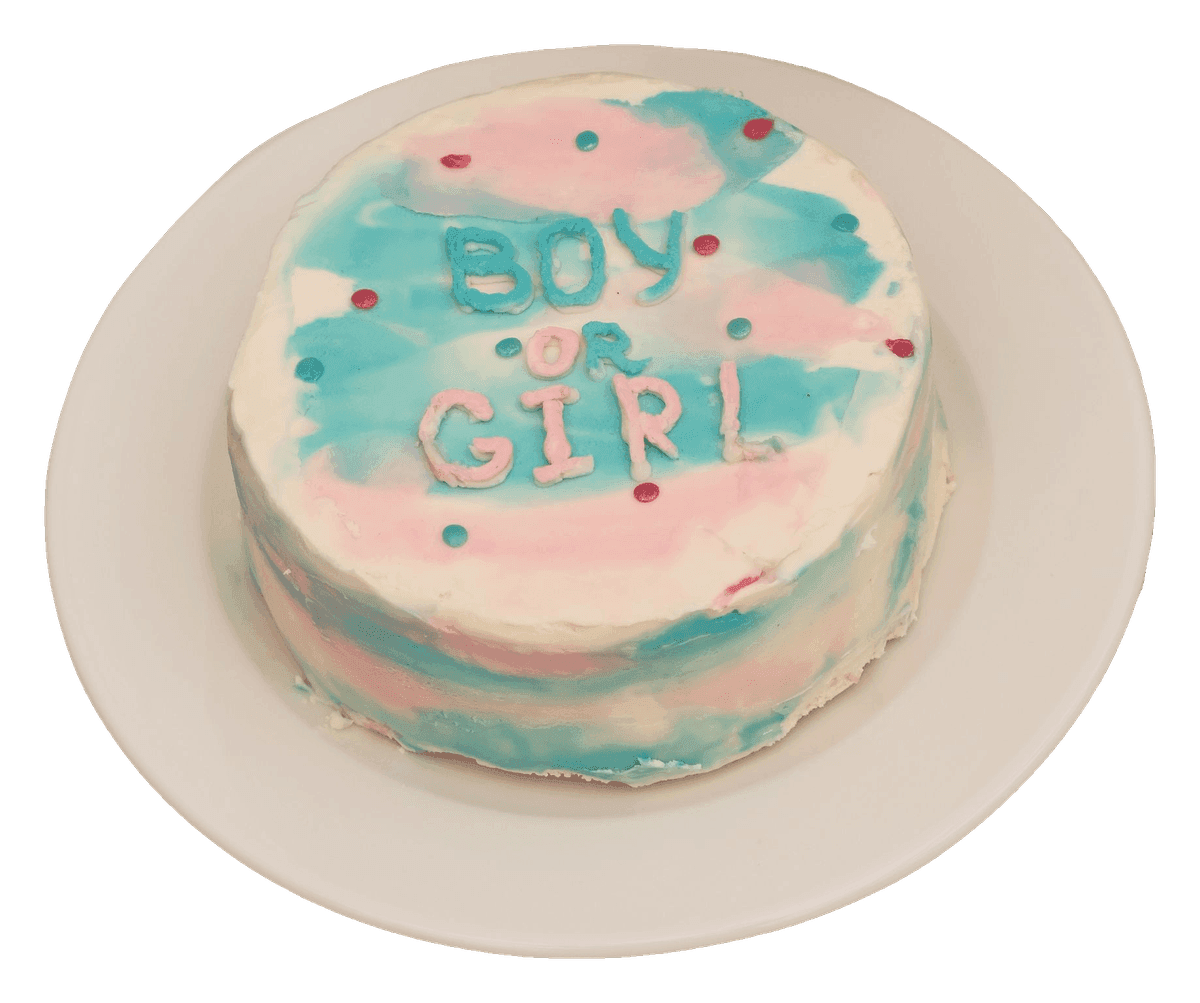 Pink and blue watercolour reveal cake with 'Boy or Girl' piped on top