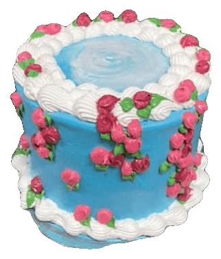 Blue buttercream cake with white shell borders and cascading pink piped roses, made in Townsville