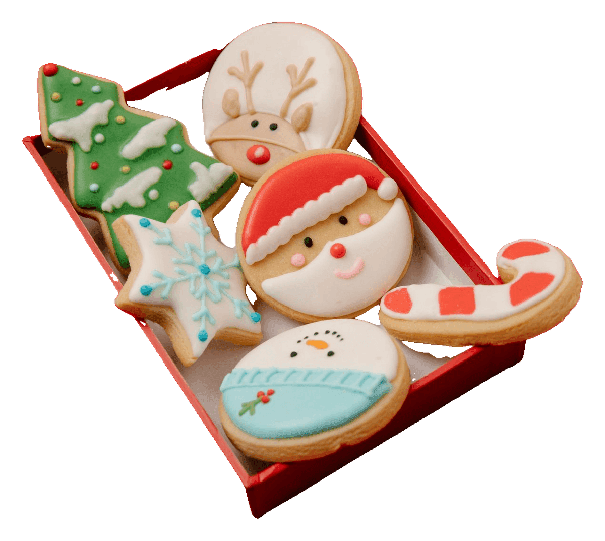 Box of iced Christmas cookies: Santa, reindeer, snowman, tree, star and candy cane