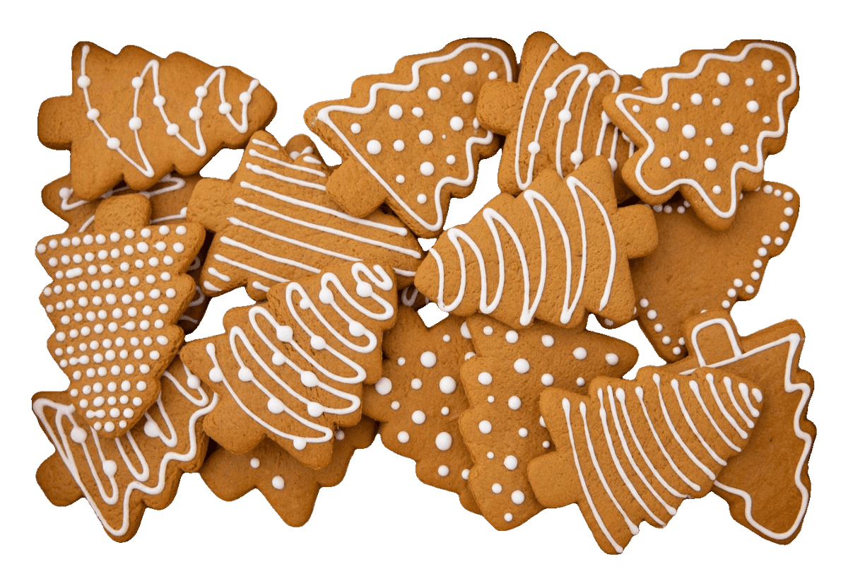 Christmas tree gingerbread cookies decorated with white icing